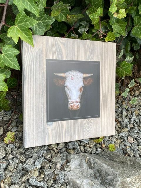 Schwarzwald Dekobrett "Ferdinand"