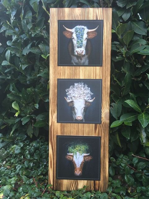 Schwarzwald Dekobrett "Nova"