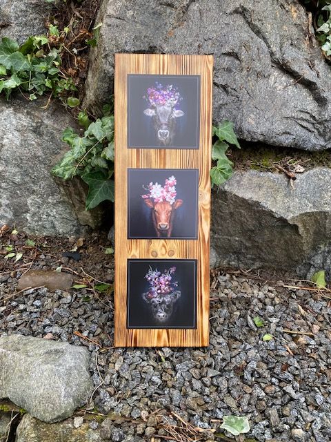 Schwarzwald Dekobrett "Pumba"